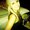 Photo of Miriam F.