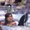 Photo of Parul P.