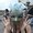 Photo of Qype User (stumpu…)