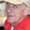 Photo of Daniel Y.