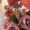 Photo of Natasha G.