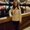 Photo of Jillian F.