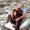 Photo of Shayan R.