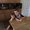 Photo of Bex P.