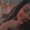 Photo of Diosa R.