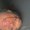 Photo of Tete W.
