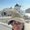 Photo of Sharon S.