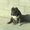 Photo of Milka L.