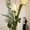 Photo of Ildiko H.