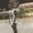 Photo of Shaun M.