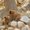 Photo of Yvette D.