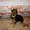 Photo of B P.