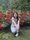 Photo of Ha-Quyen N.