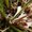Photo of Elle P.