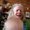 Photo of Jimmie Christina H.