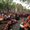 Photo of Marwa M.