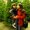 Photo of Marcela M.