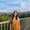 Photo of Mahsa S.