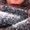 Photo of Floriane S.