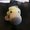 Photo of Qype User (amy291…)