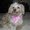 Photo of Roseann L.