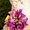 Photo of Designworks Florals W.