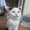Photo of Cat L.