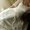 Photo of Darci A.