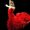 Photo of Graciela D.