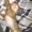 Photo of Nicole J.