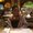 Photo of Khalia H.