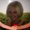 Photo of Karenlee T.