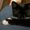 Photo of Susie M.
