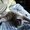 Photo of Josh M.