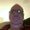 Photo of Mike P.