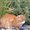 Photo of Dadubu D.