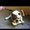 Photo of Pancho P.