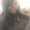Photo of Danine M.