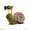 Photo of AbigSnail H.