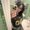 Photo of Lizbeth J.