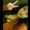 Photo of Jessica A.