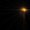 Photo of Starry S.