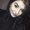 Photo of Taira D.