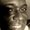 Photo of Martin G.