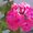 Photo of Qype User (Adalbe…)
