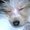Photo of Masamichi U.