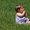 Photo of Qype User (Willow…)