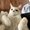 Photo of Truc N.