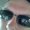 Photo of Qype User (ybcmar…)