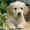 Photo of Qype User (Rhaur…)